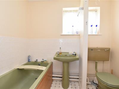 Picture 8